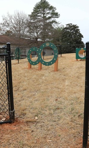 parque para perros en Park at 500